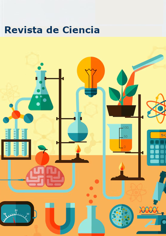 					Ver Vol. 1 Núm. 1 (2025)
				